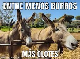 dichos #dichosdechicas #dichosdeamor #dichospopulares #dichosdelavida  #dichosmexicanos #dichosyrefranes #dichoscharros #dichossabios #refranes  #refranespopulares #refranesmexicanos #pensamientosyrefranes  #refranesydichos #frases #frasesdeamor ...
