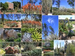 Apartment list will help you find a perfect apartment near you. Whirlwind Trip To The Southern California Desert Palm Springs And Beyond