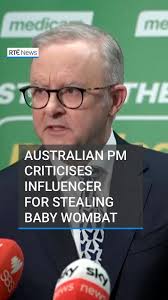 Australian Prime Minister Anthony Albanese has criticised a US influencer  for stealing a baby wombat from its mother., Sam Jones posted a video that  shows her picking up the baby wombat that is seen ...