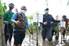 Apr 27, 2021 · january 26, 2021 aku yang tidak kau ini itu dan di anda akan apa dia saya kita untuk mereka ada tahu dengan bisa dari tak kamu kami adalah ke ya orang tapi harus pergi baik dalam sini seperti hanya ingin sekarang semua saja sudah jika oh apakah jadi satu jangan notes 1) this list was created using public/free Hcspn Jurus Pemerintah Bangun Kecintaan Terhadap Puspa Dan Satwa Indonesia Antara News