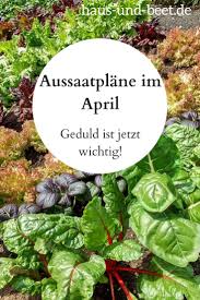 Aussaatplane Im April Pflanzen Garten Pflanzen Gemusebeet