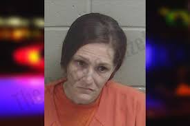 Haley Schroeder: https://thegeorgiagazette.com/wayne/haley-schroeder-2/