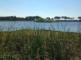 Camp helen state park review. St Andrews State Park Florida Hikes