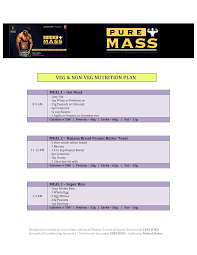 gym diet chart templates at allbusinesstemplates com