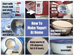 Do You Need To Heat Milk For Yogurt Making Northwest Edible Life