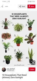 1024 x 1024 jpeg 100 кб. Ini Senarai Pokok Indoor Mudah Jaga Nak Biakkan Pun Senang Mingguan Wanita