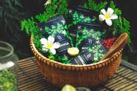 Le moringa agit de deux façons sur l'organisme pour favoriser la perte de poids. Moringa Et Perte De Poids Un Brule Graisse Naturel Anothertree