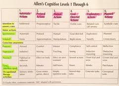 Allen Cognitive Levels Chart Related Keywords Suggestions