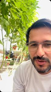 Bruno Palma Hidroponia (@brunopalmahidroponia) • Instagram photos and videos