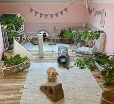 Rabbit manure comes in dry, compact pellets that are easy to work with. Puppijames On Instagram Cute Cage Rabbithouses Pet Bunny Rabbits Bunny Mom Bunny Cages