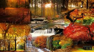 Check spelling or type a new query. Beautiful Fall Landscape Wallpaper 1920 1080 Imgur