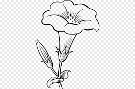 Join the leading showcase platform for art and design. Drawing Line Art Flower Sketch Hoa Máº«u Ä'Æ¡n White Pencil Png Pngegg