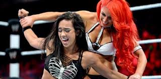 If you fail, then bless your heart. The Ultimate Quiz On Wwe Star Aj Lee Proprofs Quiz