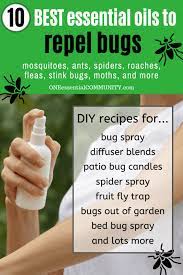 Top 10 Essential Oils That Repel Bugs Bug Spray Recipe Diffuser Blends And More Diy Recipes To Naturally Keep Bugs Away Essential Oil Bug Repellent Bug Spray Recipe Essential Oil Bug Spray