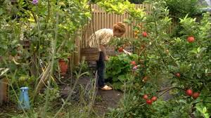 You can read this before a modern herbal pdf epub full download at the bottom. The Edible Garden Episode 6 The Winter Larder Hdclump