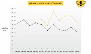 Us Beekeepers Lost 33 Percent Of Bees In 2016 17