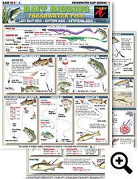 Bait Rigging And Knot Tying Techniques For Inshore