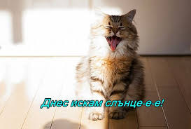 images?q=tbn:ANd9GcTYuDMUTTVenbaB-a8LgiB