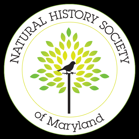 Maryland Museum of Natural Sciences – Exploring & Preserving Maryland's Natural Treasures