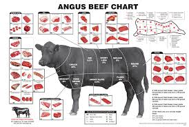 Livestock Skillathon Beef Retail Meat Cuts Identification
