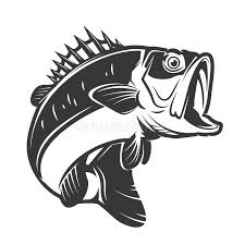 Bass Fish Icons Isolated On White Background Design Element Fo R Logo Label Sponsored Background White Fish Icon Vector Illustration Illustration