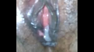 XNXX.com