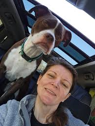 Dog snacks for 17th birthday celebration ideas?