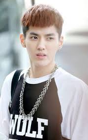 Check spelling or type a new query. Kris Wu Alchetron The Free Social Encyclopedia