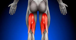 The hip flexors are muscles that connect the lower back to the hips, groin, and thigh bone. Tight Hamstrings Healthquest Physical Therapy