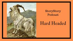 Hard Headed: Jenni Cargill Strong, Oni Lasana