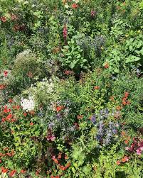 Love This Gaden Gardendesign Gardens Gardenlover Garten Gartengestaltung Gartenideen Gartenliebe Green Garten Ideen Garten Gartengestaltung