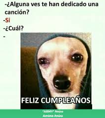 Es Amor O Odio Imagina Con Suga Funny Spanish Memes New Memes Animal Memes