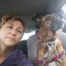 MUNICIPIO REALIZA OPERATIVO PARA EL CONTROL DE PERROS AGRESIVOS EN EL  CENTRO DE ARICA Médicos veterinarios del Centro Veterinario Municipal  procederán a la castración de canes que mordieron a transeúntes. Por una