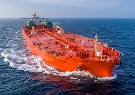 Image result for Tan 2023 Fleet