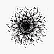 Caleb Tejeda (calebcoolguy12)