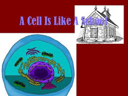 We did not find results for: A Cell Is Like A School Ppt Download
