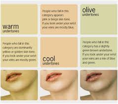 Shades Of Beauty By Zoey James Skin_tone_chart