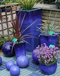 Impact_rad coyote_sc white flower farm. Cobalt Blue In The Garden Repeating Color For Impact Blue Planter Potted Plants Outdoor Flower Pots Outdoor