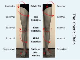 Pin By Jenny D Lo On Glute Medius Pelvic Tilt Overpronation Hips