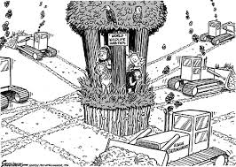 Habitat Destruction Animal Photo Habitat Destruction Biodiversity