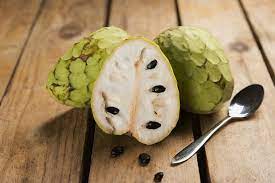 98% of roots are situated in the upper 40 cm, with considerable lateral root development. Wie Isst Man Eine Cherimoya Gutekueche At