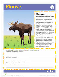 Esl worksheets and activities for kids. Moose Worksheet Education Com Yellowstone National Park Kids Yellowstone National Parks