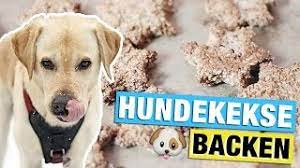 Dabei ist das rezept für hundekekse mit leberwurst eines der einfachsten rezepte überhaupt. Hundekekse Selber Backen Mit Leberwurst Diy Hundeleckerlies Selber Machen Youtube