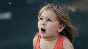 Tedd Tripp Resources