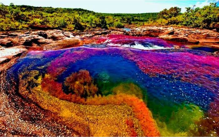 Caño Cristales – Colombia's Stunning Five-Color “Rainbow River” – Unusual Places