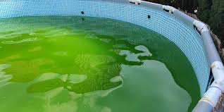 Ich treibe sport gern, deshalb laufe ich jeden tag. Den Pool Pflegen Ph Wert Messen Mcmaier Net