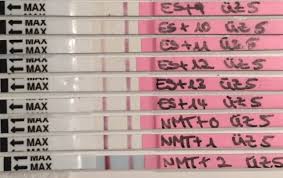 Schwangerschaftstest Hcg Tabelle Und Hcg Rechner Wann Testen