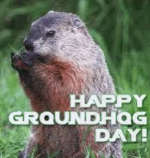 #groundhog day #bill murray #movie gif #gif #groundhog day gif #1993 #movies #90s #90s movies #the 90s #no tomorrow #carpe diem #film. It S Groundhog Day Gifs Tenor