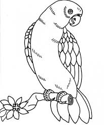 The original format for whitepages was a p. Get This Bird Coloring Pages Free To Print 68349