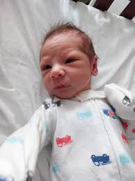 This is mama Raelyn and her new babies